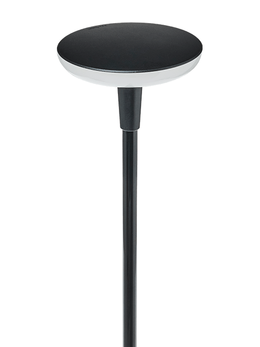 SWAY LIGHT HEAD