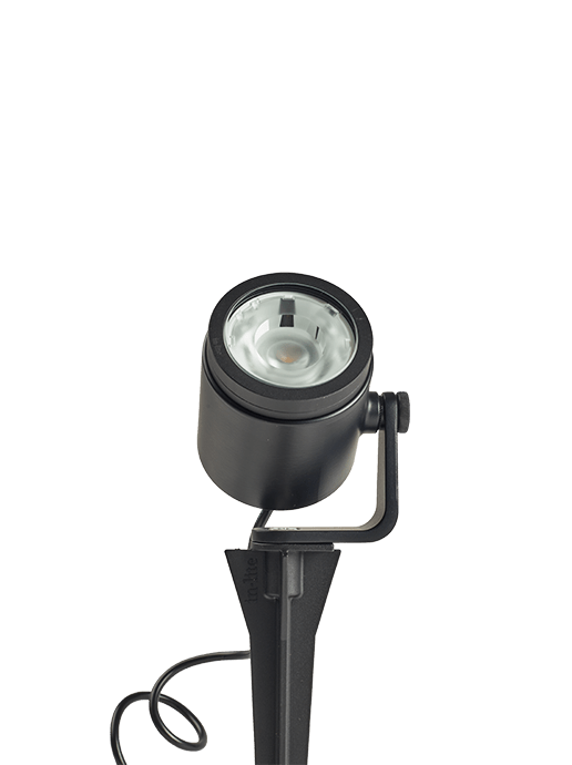 BIG SCOPE NARROW