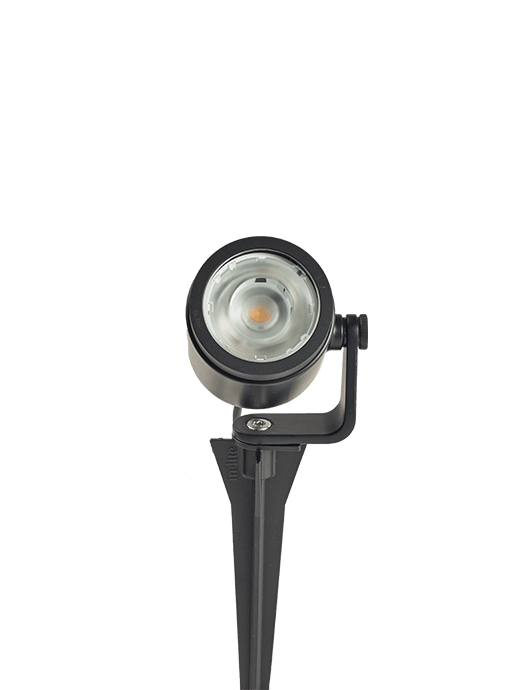 BIG SCOPE NARROW