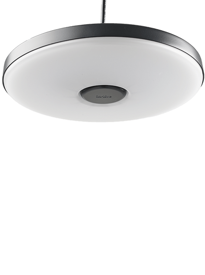 DISC PENDANT