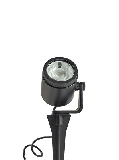 BIG SCOPE NARROW