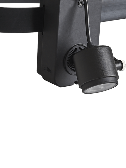BRACE BAND