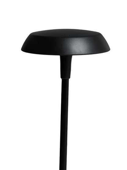 SWAY CAP