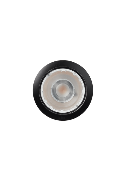 BIG FLUX NARROW