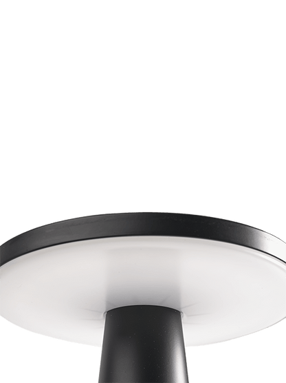 DISC
